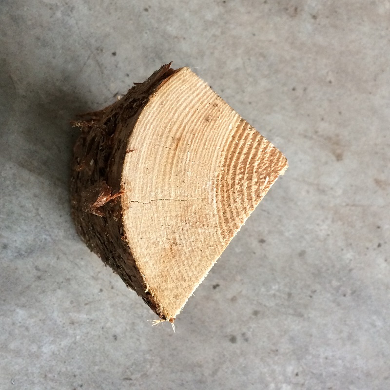 Close up of Scots Pine Firewood Log Grain